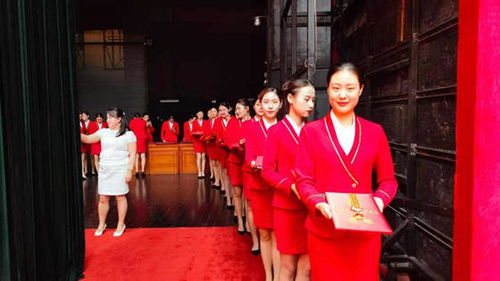 洛陽(yáng)職業(yè)技術(shù)學(xué)院禮儀隊(duì)圓滿完成洛陽(yáng)市七一表彰大會(huì)頒獎(jiǎng)禮儀服務(wù)與軟件開發(fā)